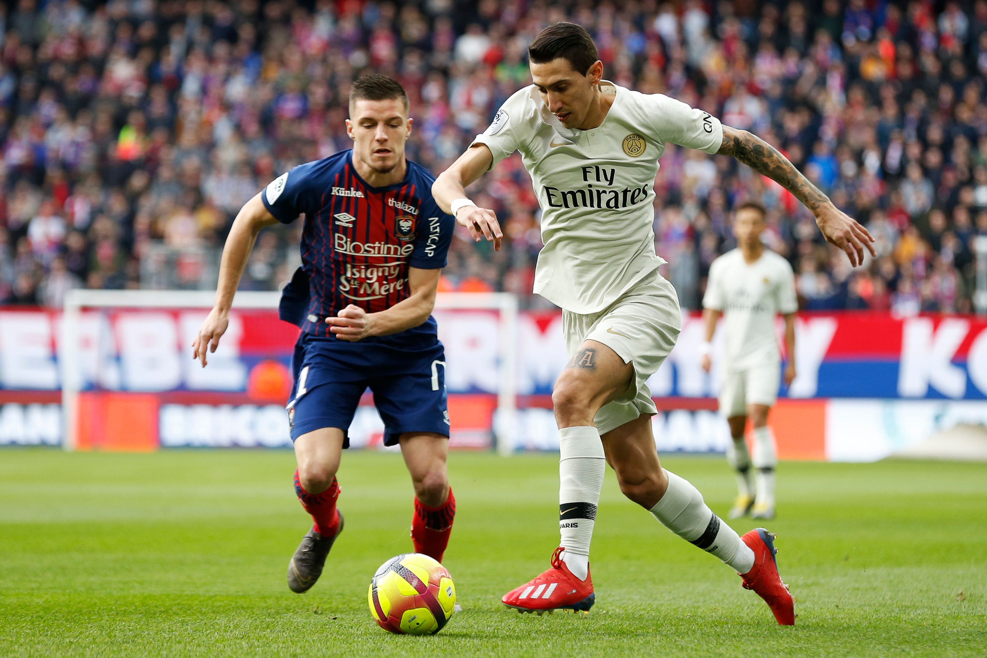 这队值得更高的排名